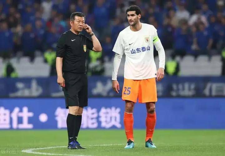 国产91精品一区二区麻豆网站